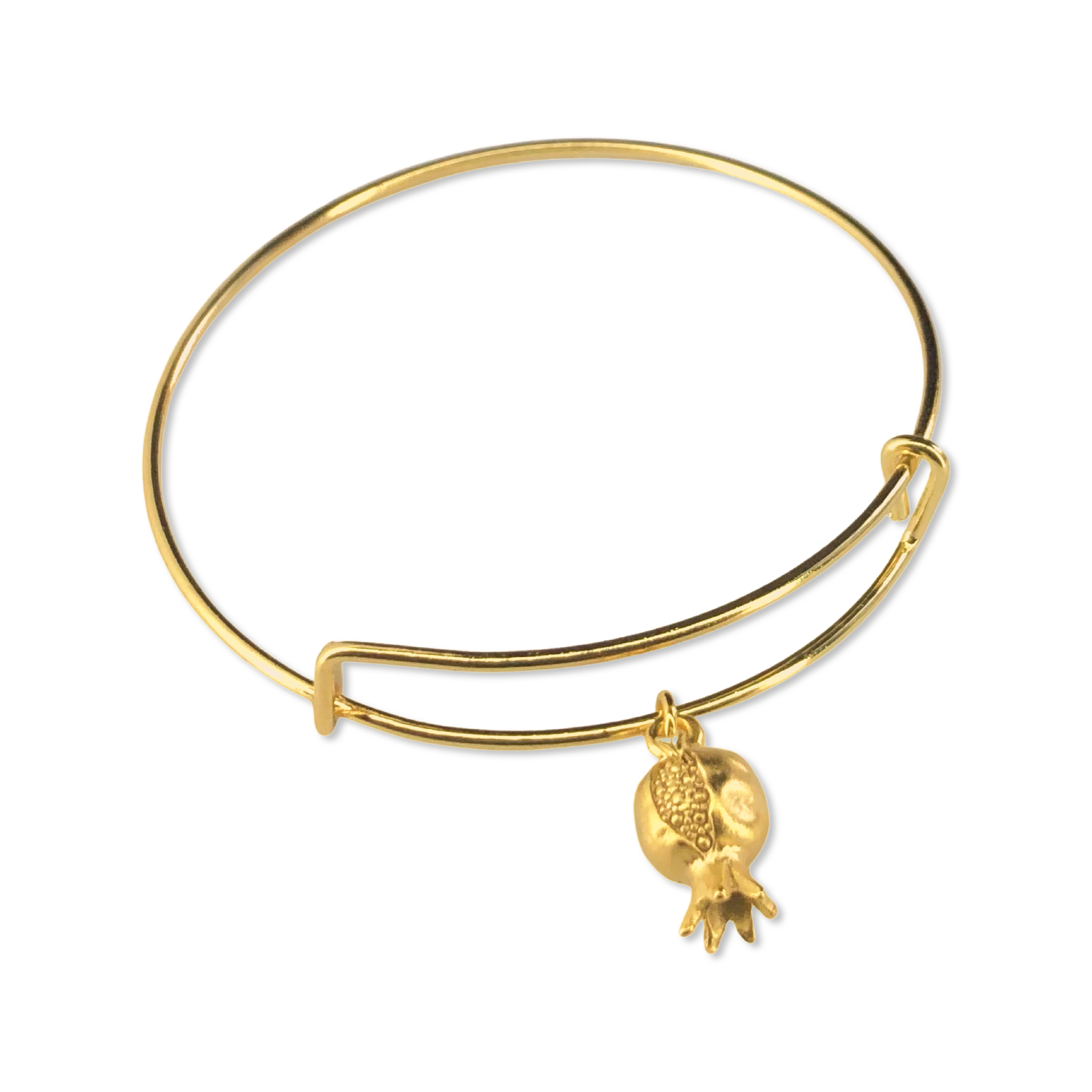 Pomegranate Charm Bracelet - Main Image